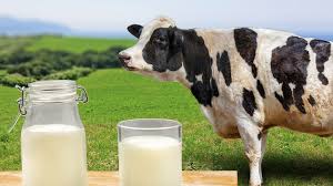 leche
